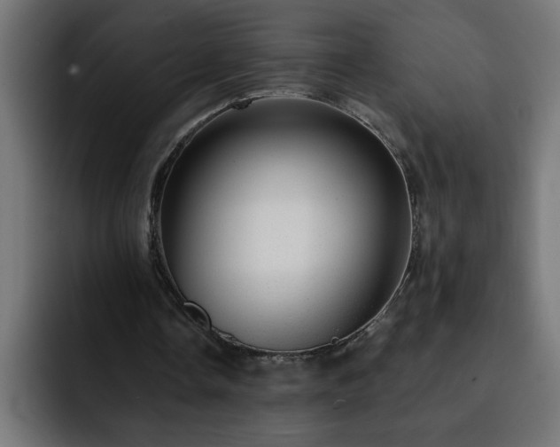 X0000093260338200710031607