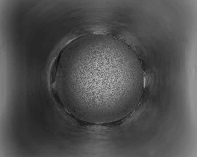 X0000093260339200710031608