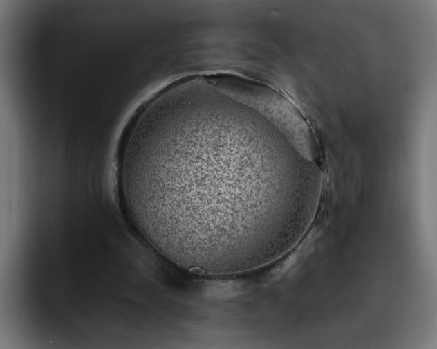 X0000093260342200710031608