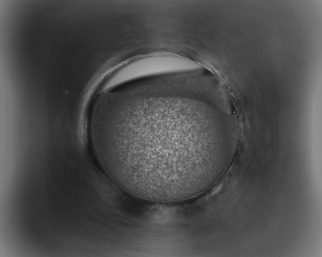 X0000093260343200710031608