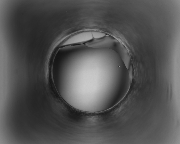 X0000093260344200710031608