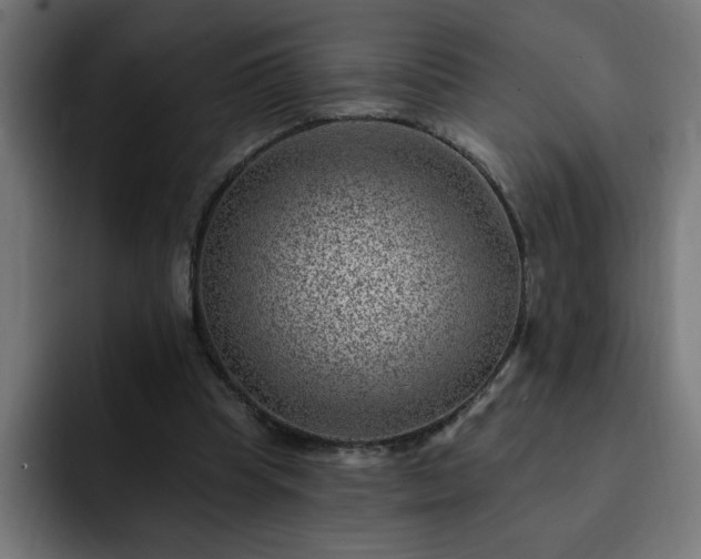 X0000093260345200710031608