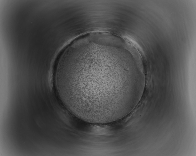 X0000093260346200710031608