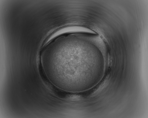 X0000093260348200710031608