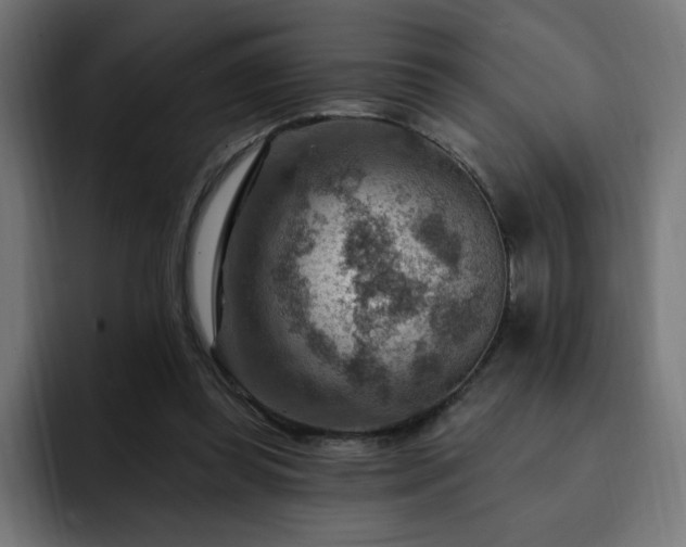 X0000093260349200710031608