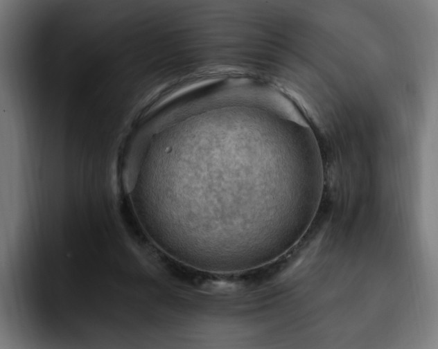 X0000093260352200710031608