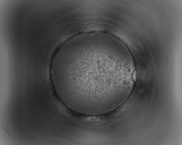 X0000093260353200710031608