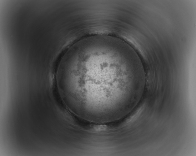 X0000093260355200710031608