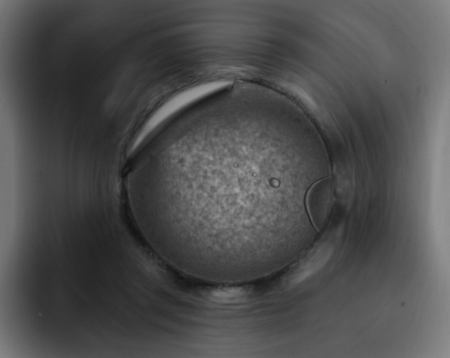 X0000093260357200710031608