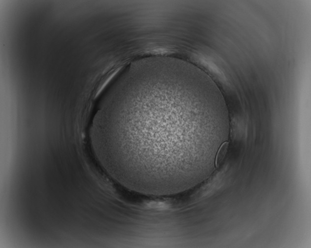 X0000093260358200710031608