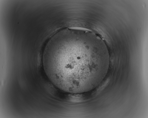 X0000093260359200710031608