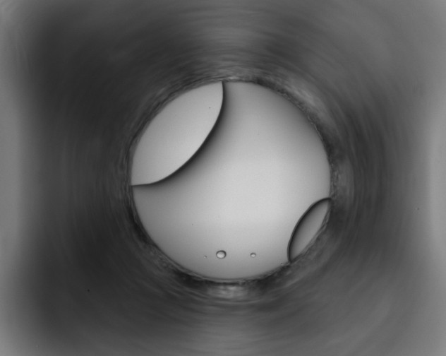 X0000093260361200710031608