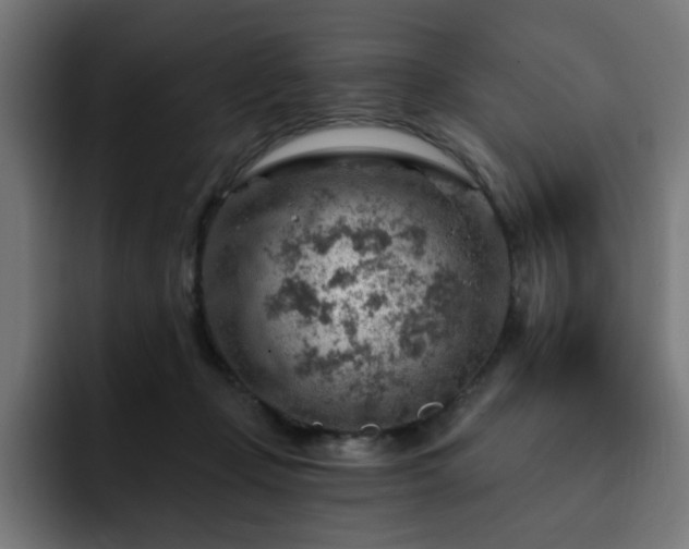 X0000093260365200710031608