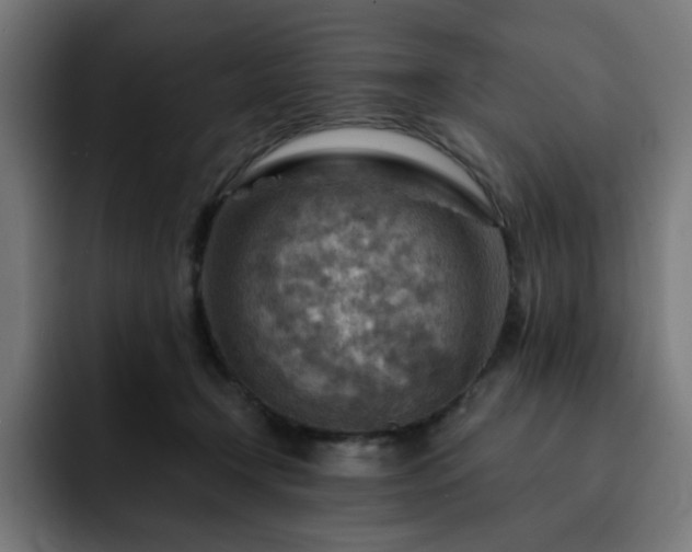 X0000093260366200710031608