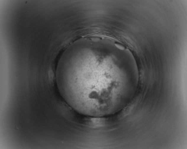 X0000093260371200710031608