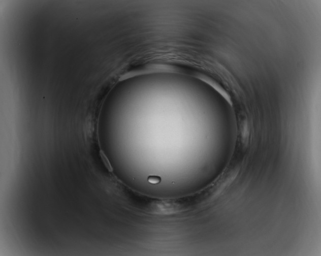 X0000093260372200710031608