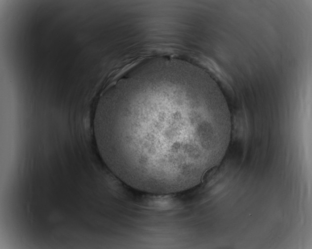 X0000093260377200710031608