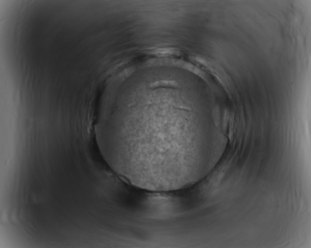 X0000093260380200710031608