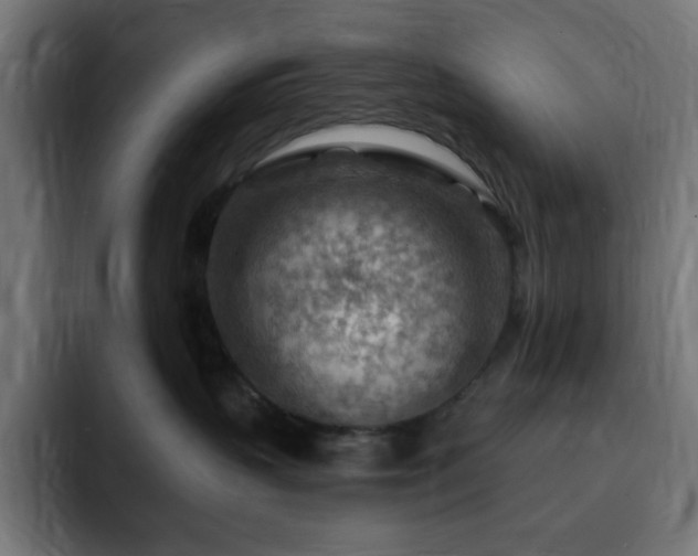 X0000093260383200710031608