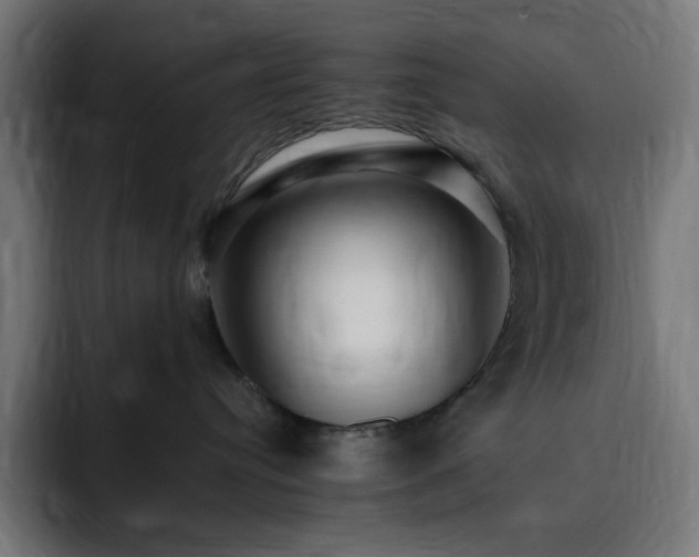 X0000093260384200710031608