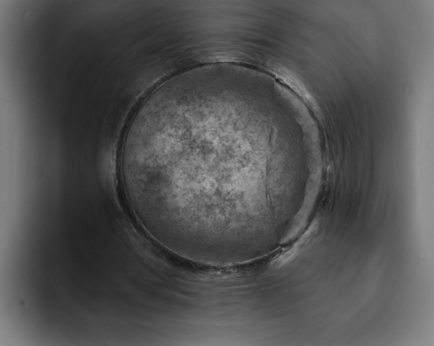 X0000093260386200710031607