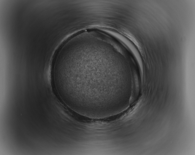 X0000093260387200710031607