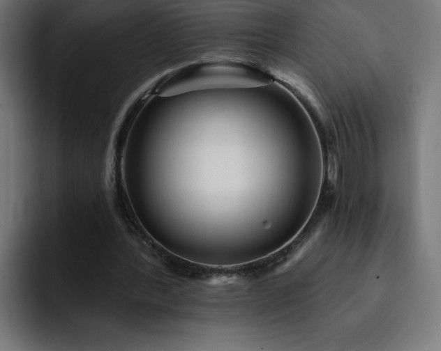 X0000093260388200710031607