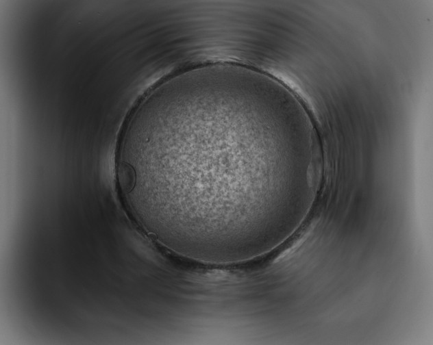 X0000093260390200710031607