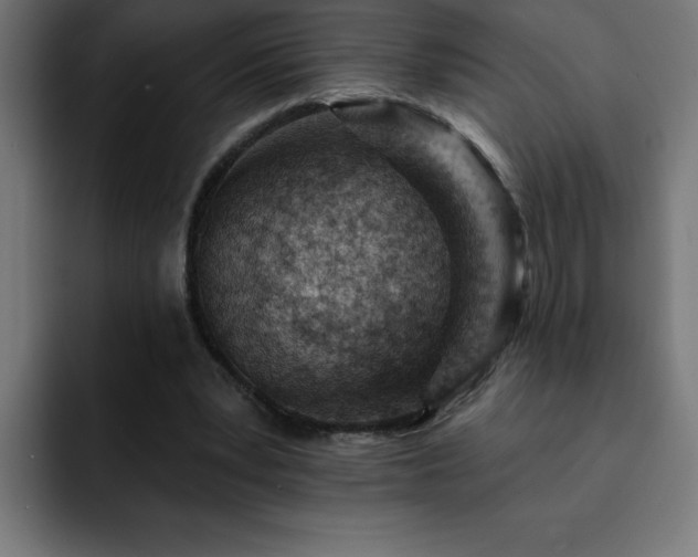 X0000093260391200710031607