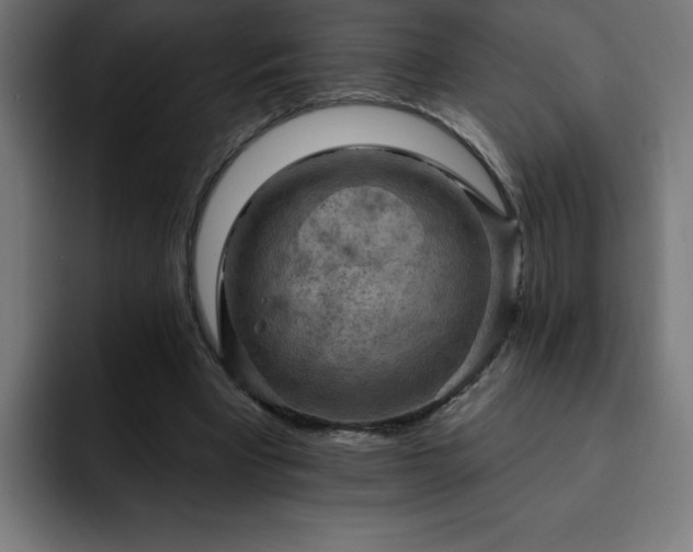 X0000093260393200710031607