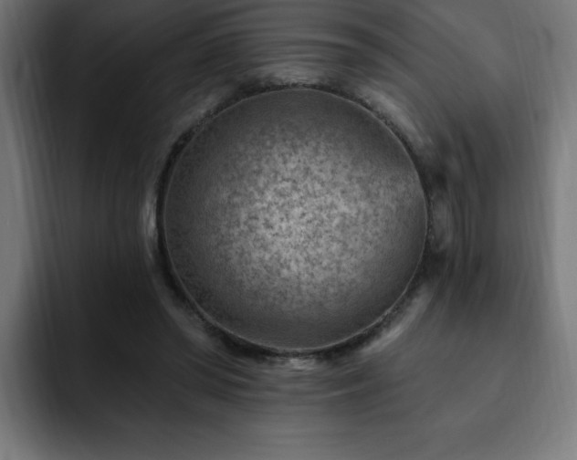 X0000093260398200710031607