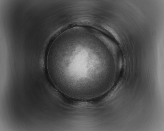 X0000093260399200710031607