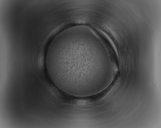 X0000093260400200710031607