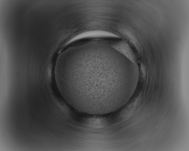 X0000093260404200710031607