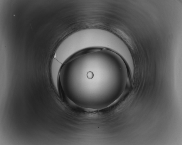 X0000093260405200710031607