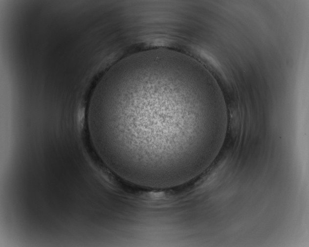 X0000093260406200710031607