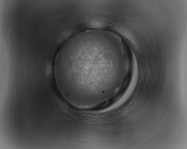 X0000093260407200710031607