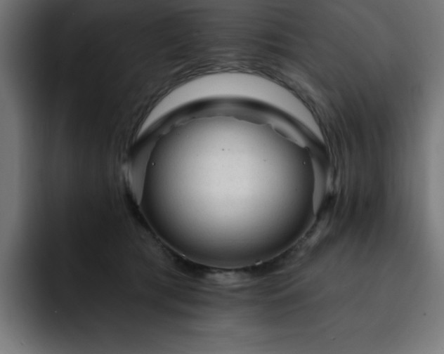 X0000093260417200710031607