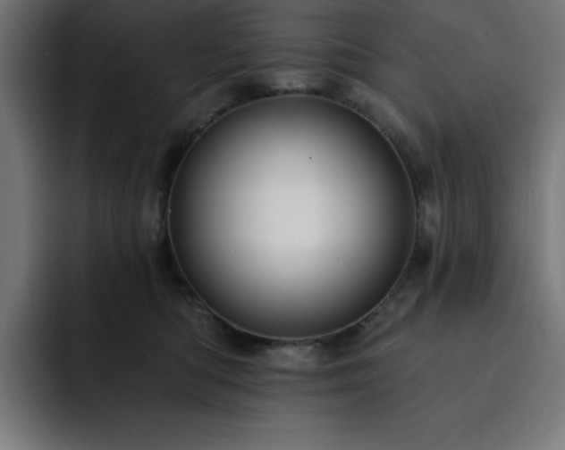 X0000093260422200710031607