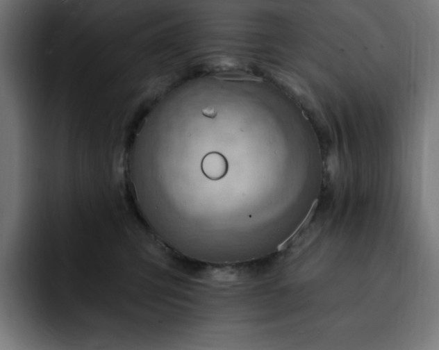 X0000093260423200710031607