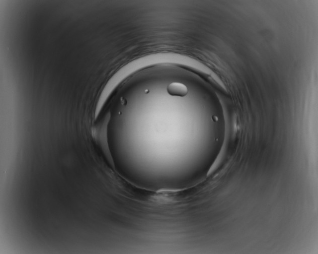 X0000093260425200710031607