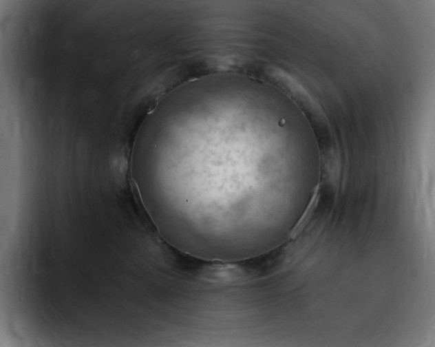 X0000093260427200710031607