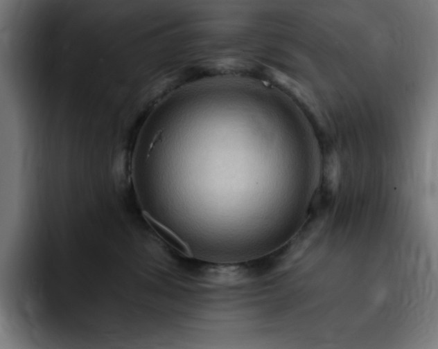 X0000093260428200710031607