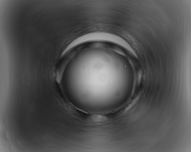 X0000093260429200710031607