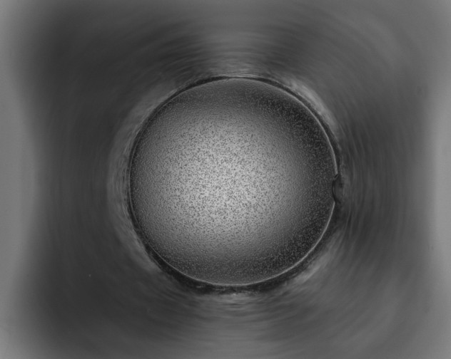 X0000093260433200710031606