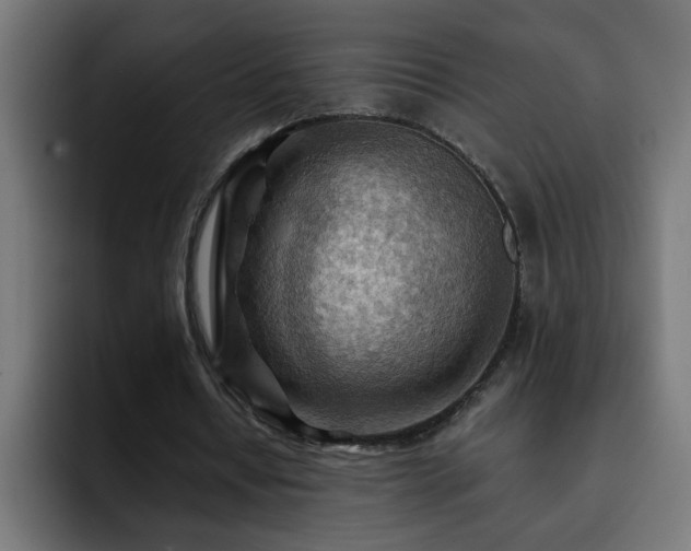 X0000093260434200710031606