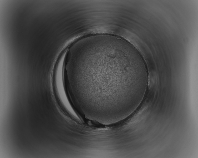 X0000093260438200710031606