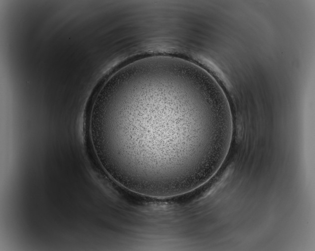 X0000093260439200710031606