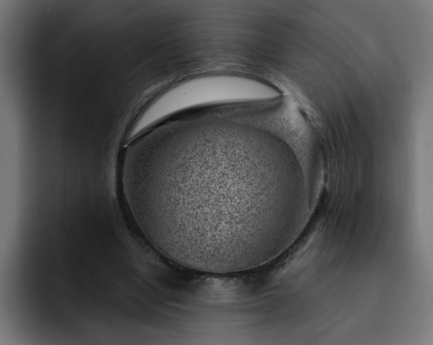 X0000093260442200710031606