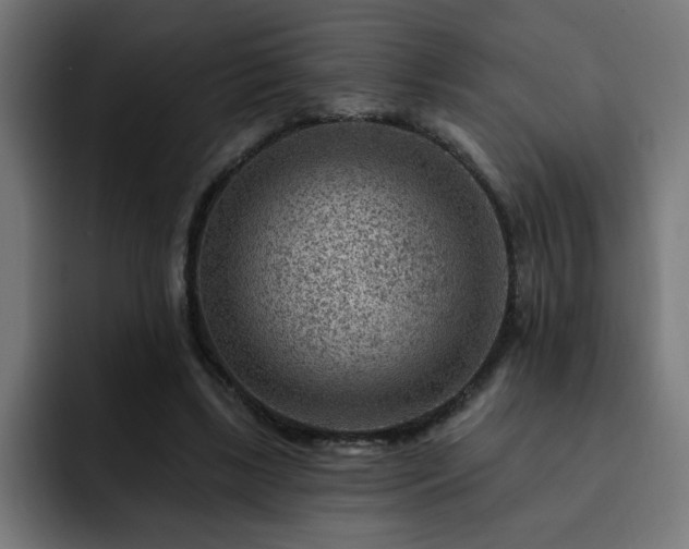 X0000093260443200710031606